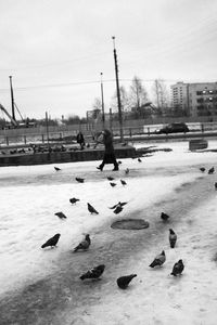 Boy feeding on snow against sky