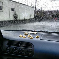 Close-up of water drops on car window