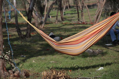 Close-up of hammock against trees