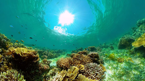 underwater