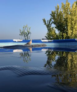 Swimming pool by lake against clear blue sky