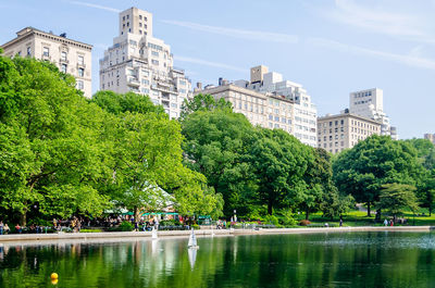 Central park on a sunny day, manhattan, new york city, usa