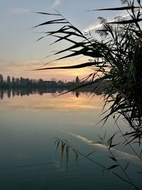 Scenic view of lake against sky during sunset