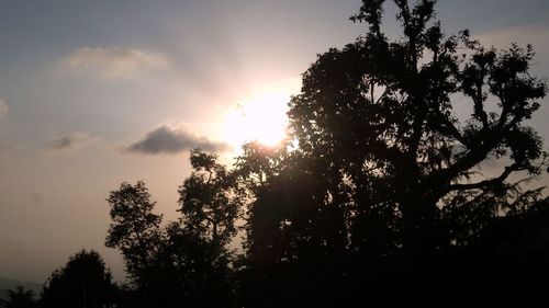 Low angle view of silhouette trees against sky during sunset