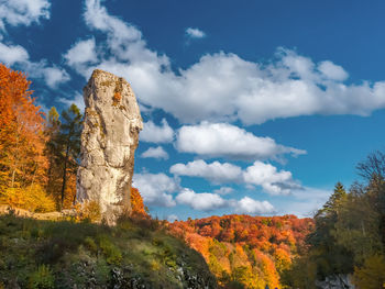 Low angle view of trees against sky during autumn