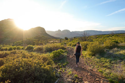 Walking the serene trails of sedona, arizona.