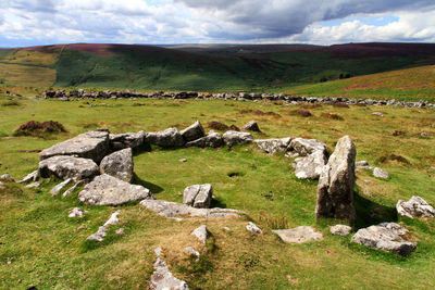 Scenic view of stones on grassy area against cloudy sky
