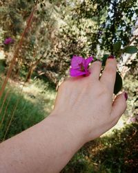 Close-up of hand holding pink flower