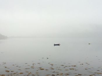 Scenic view of river against sky during foggy weather