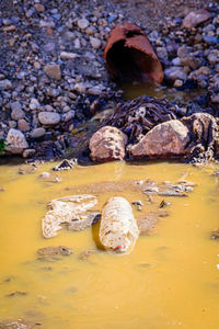 Close-up of stones on beach