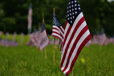 Flag on field