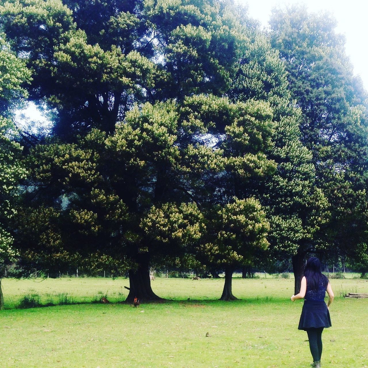 FULL LENGTH OF YOUNG WOMAN STANDING ON TREE