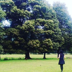 Full length of woman standing on tree branch