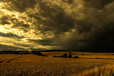 Scenic view of agricultural field against sky during sunset