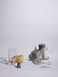 Close-up of wine glass on table against white background