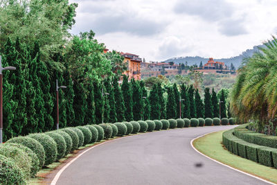 Road by trees against sky in city