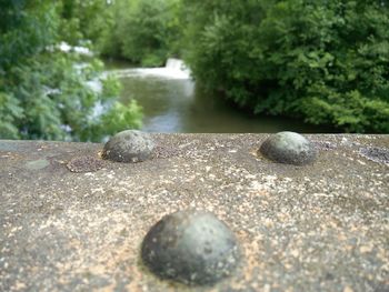 Close-up of rocks against trees