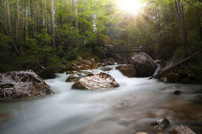 Stream flowing through rocks in forest