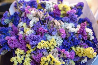 Close-up of purple flowers