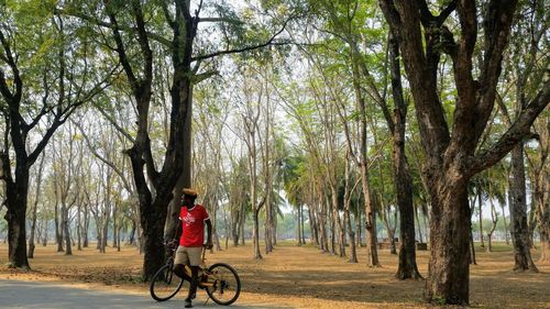 Man riding bicycle on road amidst trees