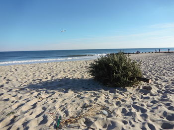 Scenic view of beach against clear sky