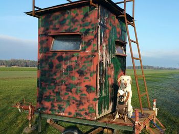 Close-up of abandoned truck on field against sky