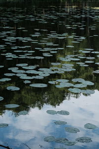 High angle view of floating on lake during winter