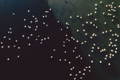 Defocused image of illuminated lights against sky at night