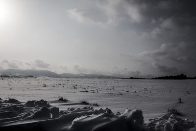 Scenic view of beach against sky