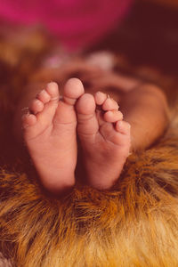 Close-up of baby feet on fur