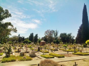 Cemetery against sky