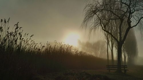 Scenic view of landscape at sunset