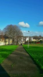 Bare trees in city against clear sky