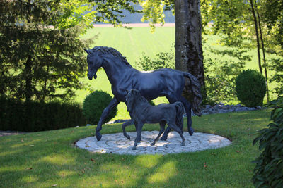 Side view of horse standing on land