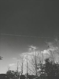 Low angle view of trees against sky at night