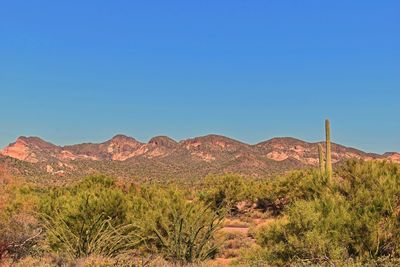 Scenic view of mountain against blue sky