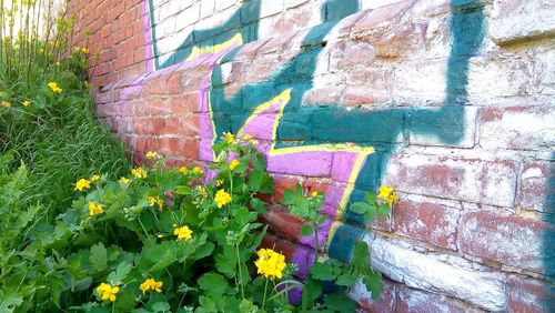 Close-up of graffiti on wall