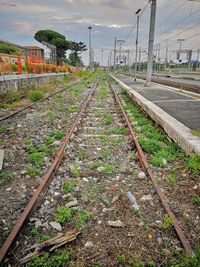 Railroad track amidst plants against sky