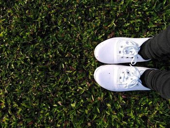 White rubber shoes on the green grass of autumn...