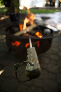 Close-up of fire on log