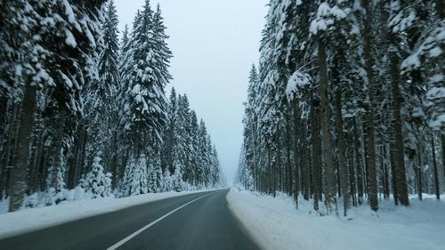 Road amidst trees against clear sky during winter