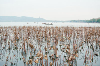 Scenic view of lake against clear sky