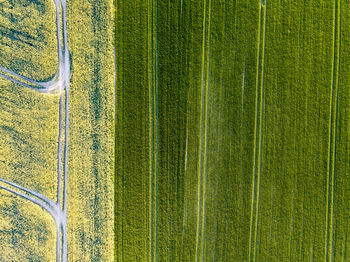 Full frame shot of agricultural field