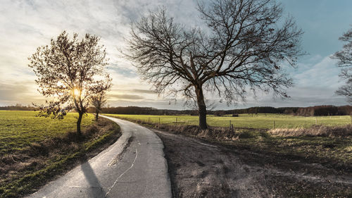 Road by bare trees on field against sky