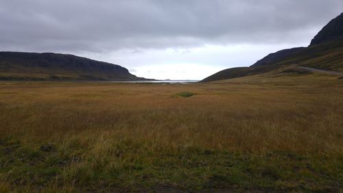 Scenic view of field against sky