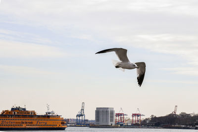 Seagull flying over a town over the water 