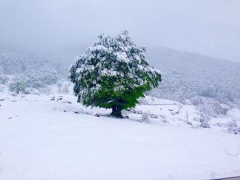 Scenic view of snow covered mountains