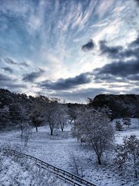 Trees on snow covered field against sky