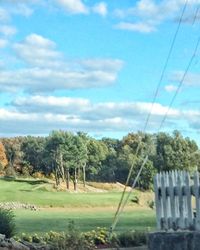 Trees on field against sky