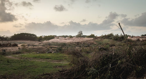 Scenic view of field against sky